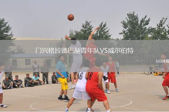 霍芬海姆VS達(dá)姆施塔特